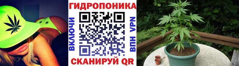 Купить закладку ГАШИШ  МАРИХУАНА  Кокаин  Alpha-PVP  Мефедрон  Лебедянь