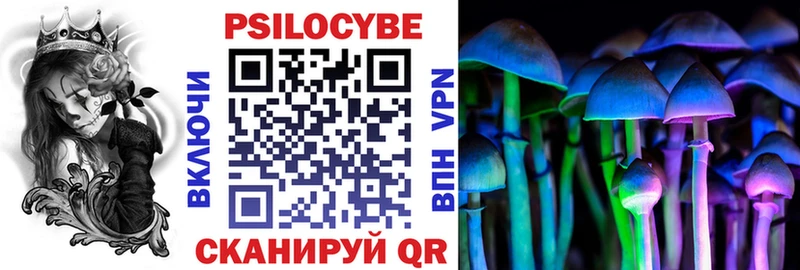 Купить закладки  Лебедянь  Галлюциногенные грибы Psilocybine cubensis 